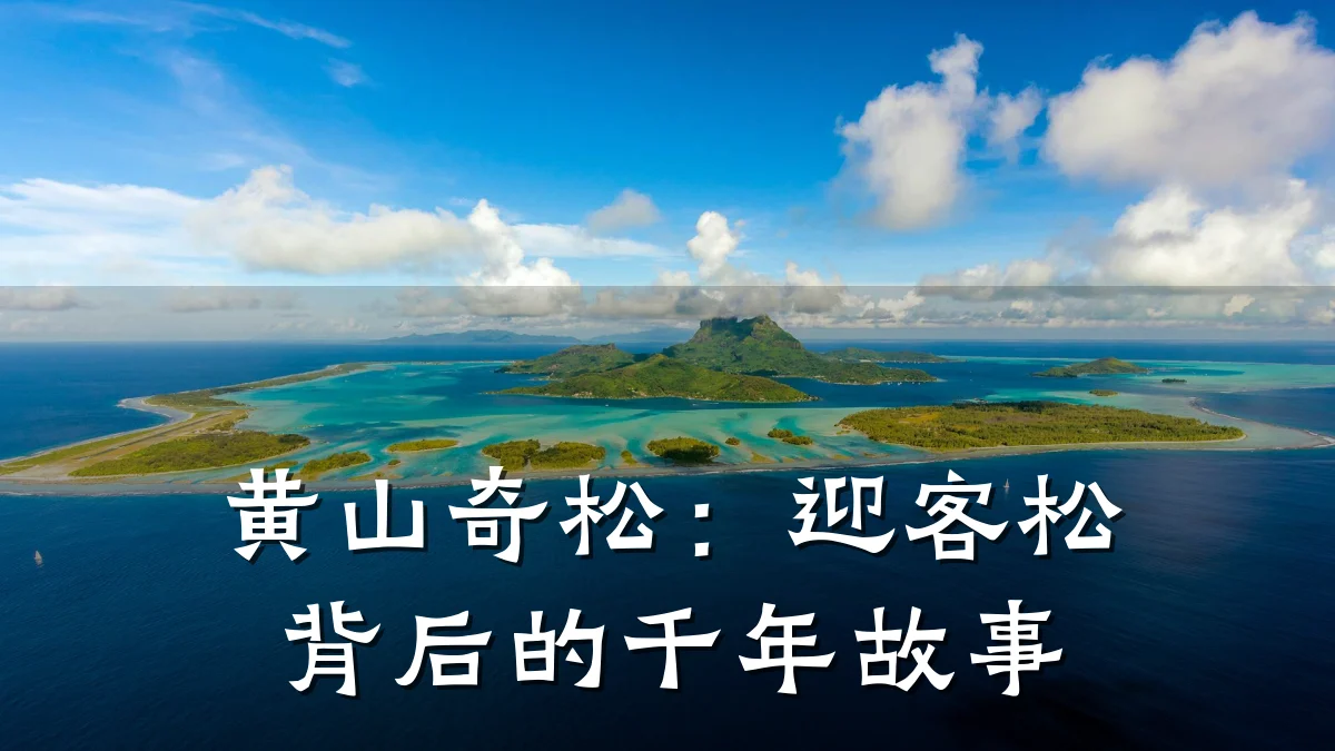 黄山奇松：迎客松背后的千年故事