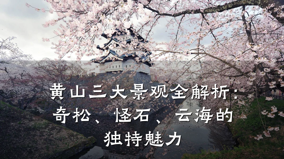 黄山三大景观全解析：奇松、怪石、云海的独特魅力