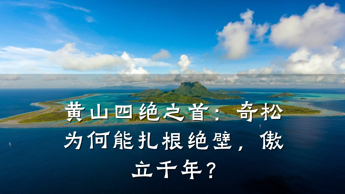 黄山四绝之首:奇松为何能扎根绝壁,傲立千年?