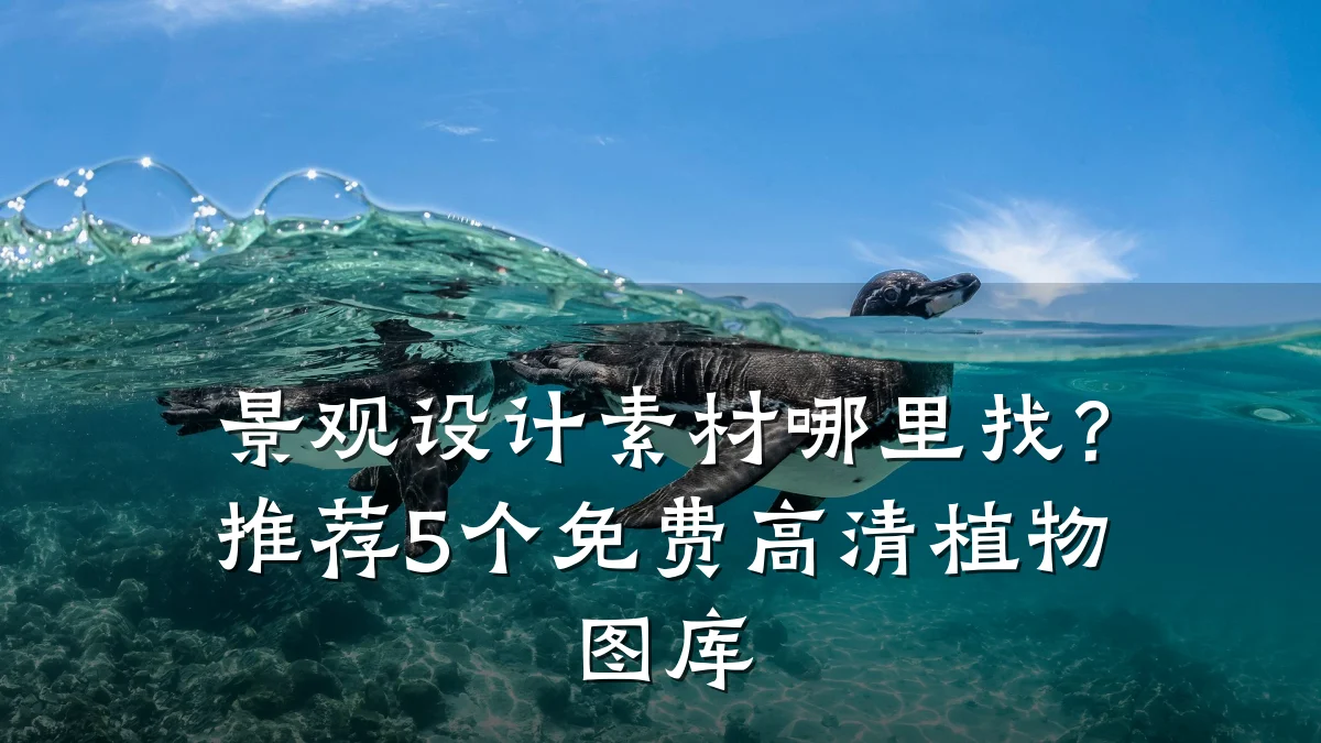 景观设计素材哪里找?推荐5个免费高清植物图库