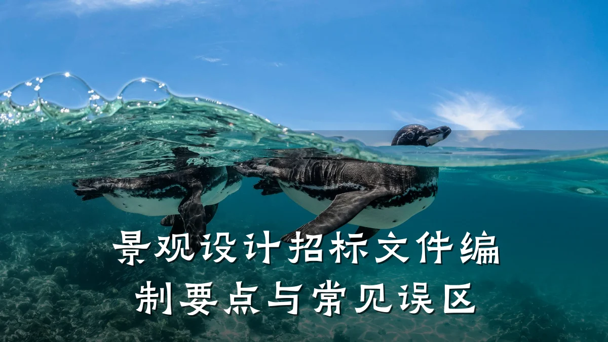 景观设计招标文件编制要点与常见误区