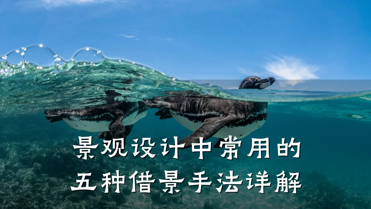 景观设计中常用的五种借景手法详解