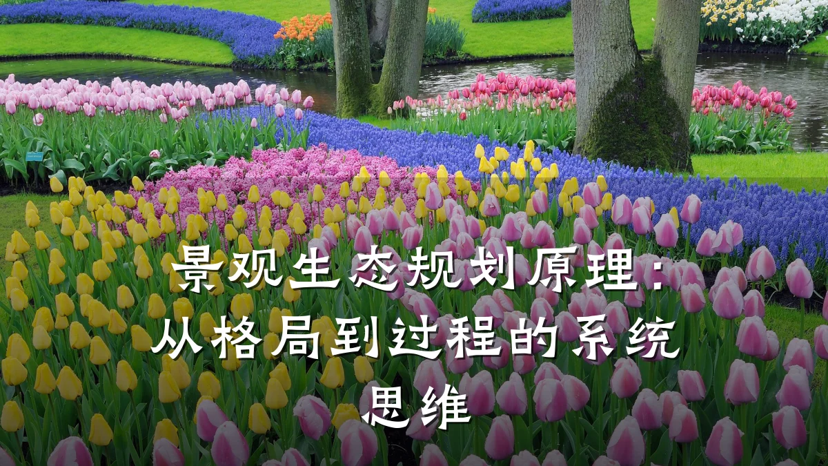 景观生态规划原理：从格局到过程的系统思维