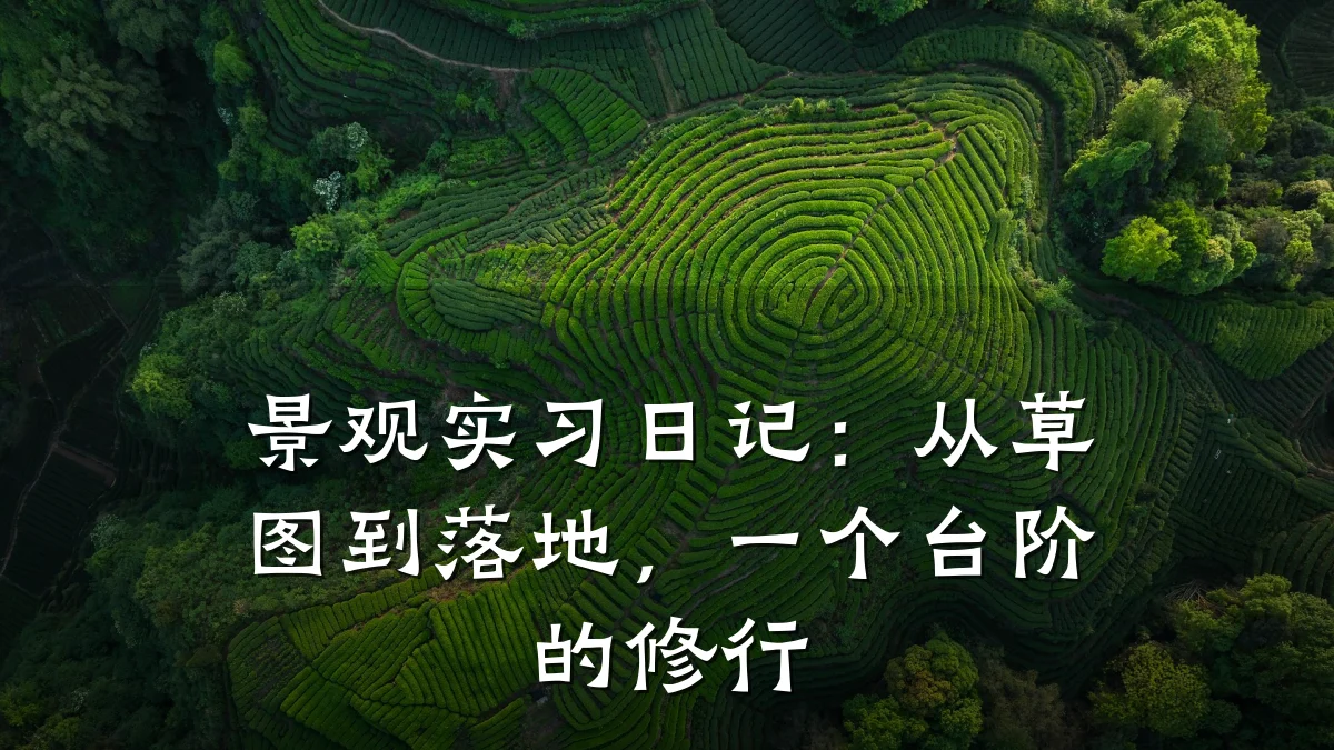 景观实习日记:从草图到落地,一个台阶的修行