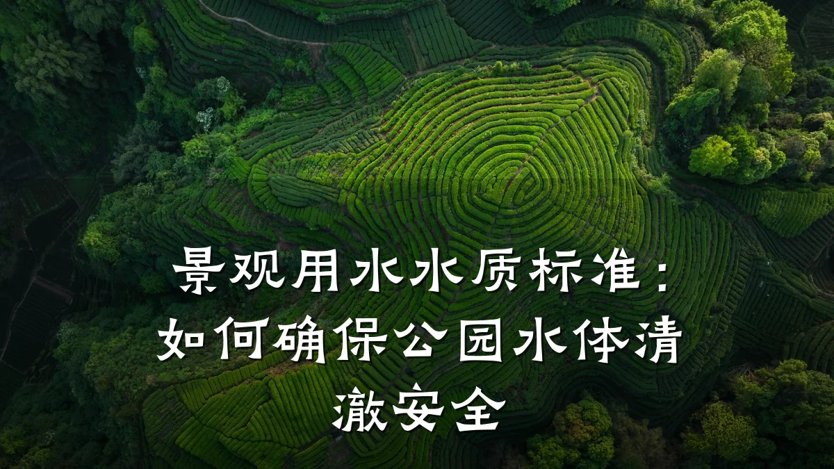景观用水水质标准:如何确保公园水体清澈安全