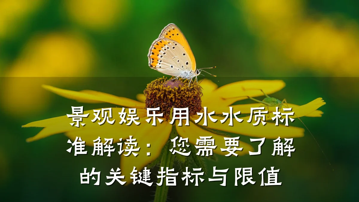 景观娱乐用水水质标准解读:您需要了解的关键指标与限值