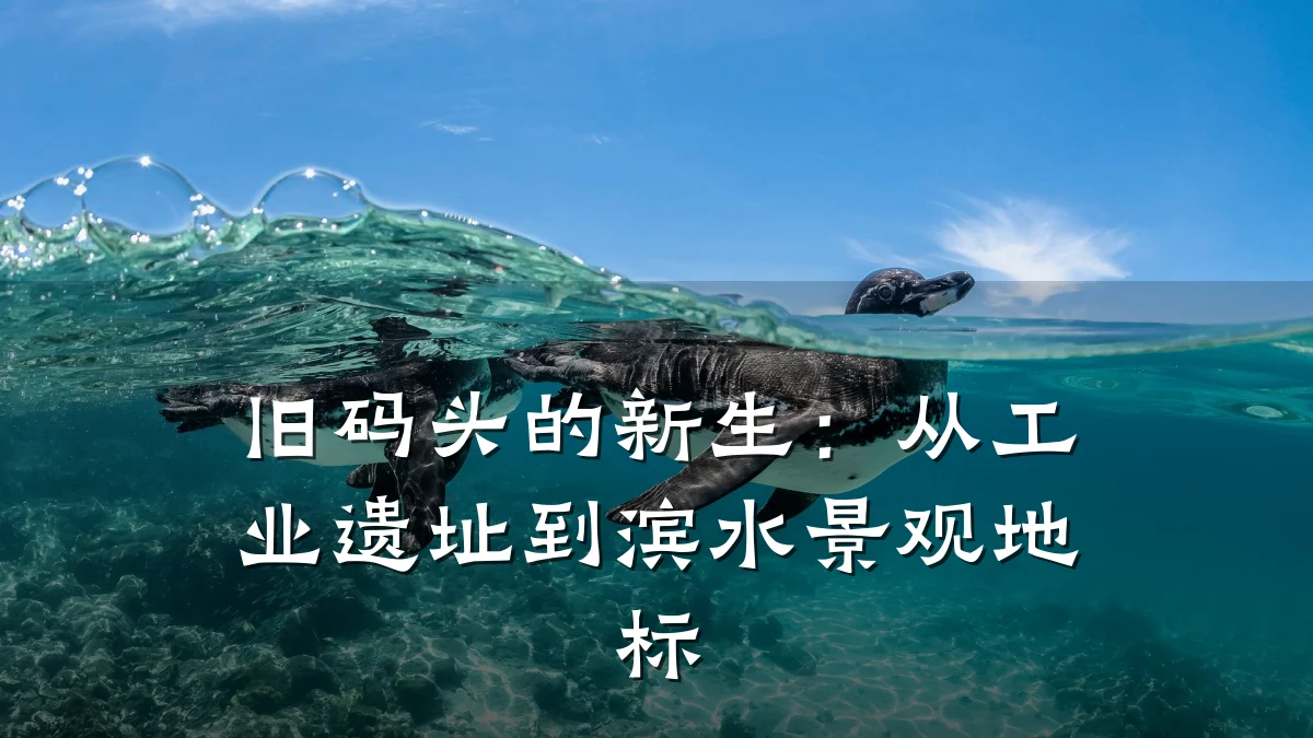 旧码头的新生:从工业遗址到滨水景观地标