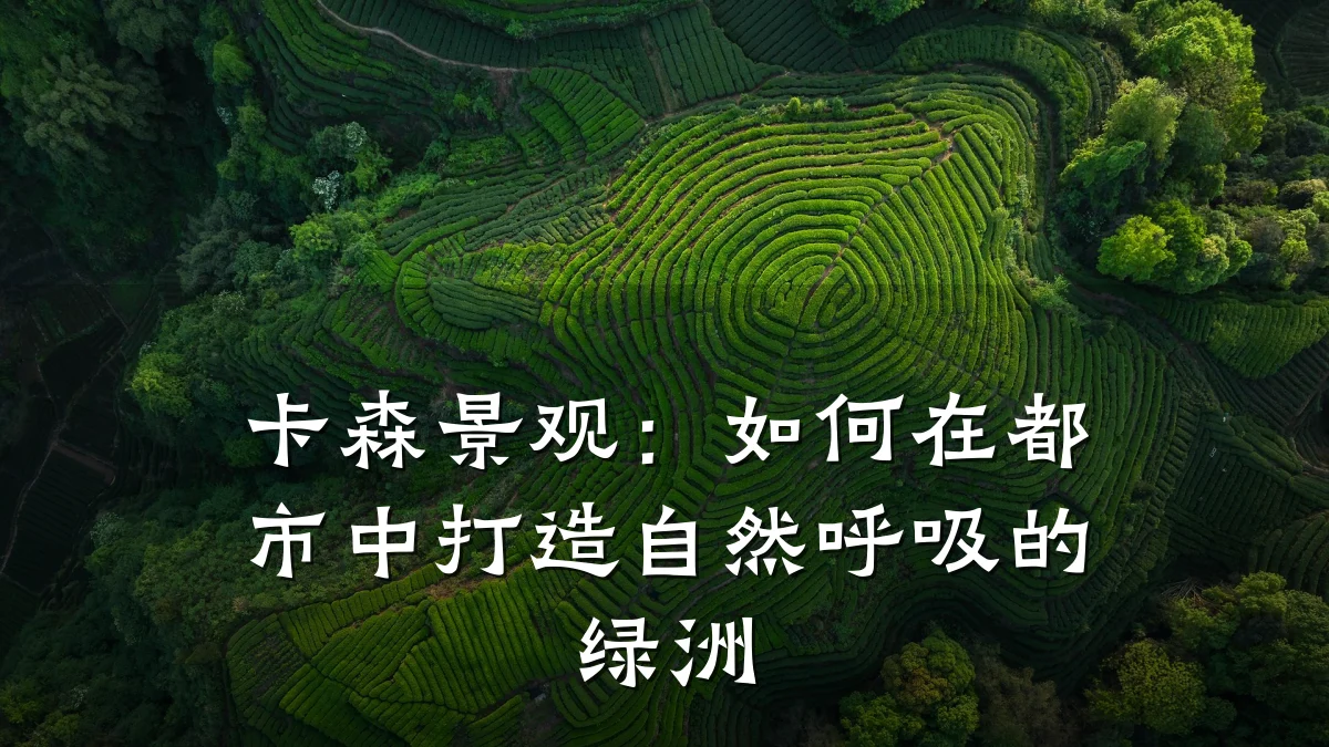 卡森景观：如何在都市中打造自然呼吸的绿洲