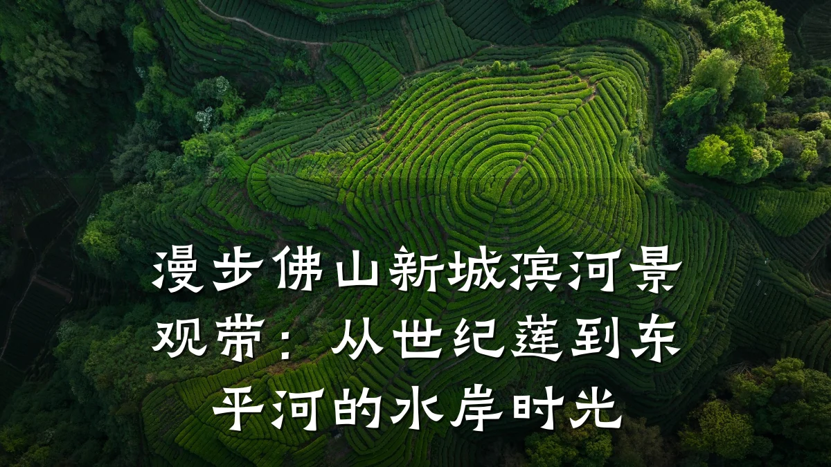 漫步佛山新城滨河景观带:从世纪莲到东平河的水岸时光