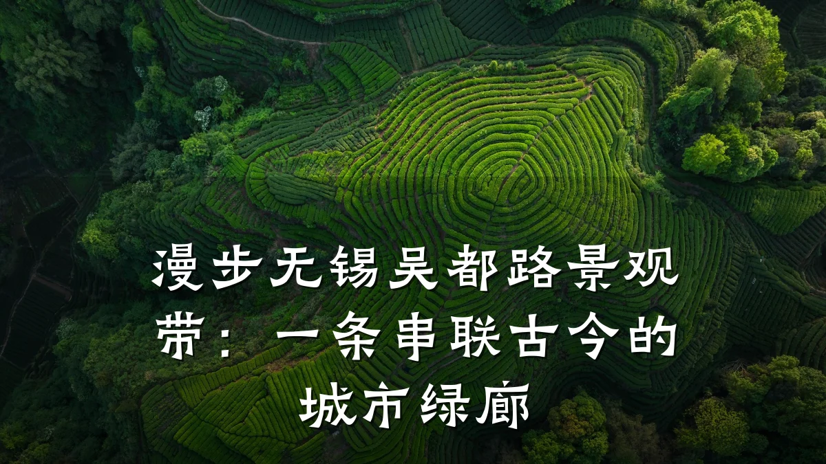 漫步无锡吴都路景观带：一条串联古今的城市绿廊