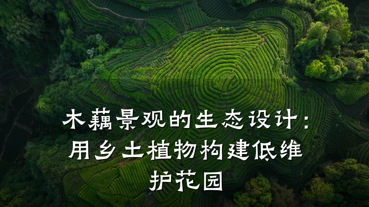 木藕景观的生态设计:用乡土植物构建低维护花园