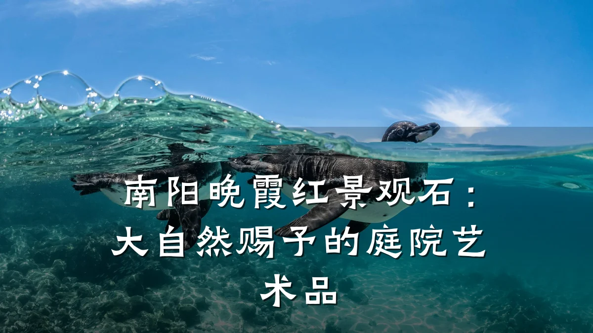 南阳晚霞红景观石:大自然赐予的庭院艺术品