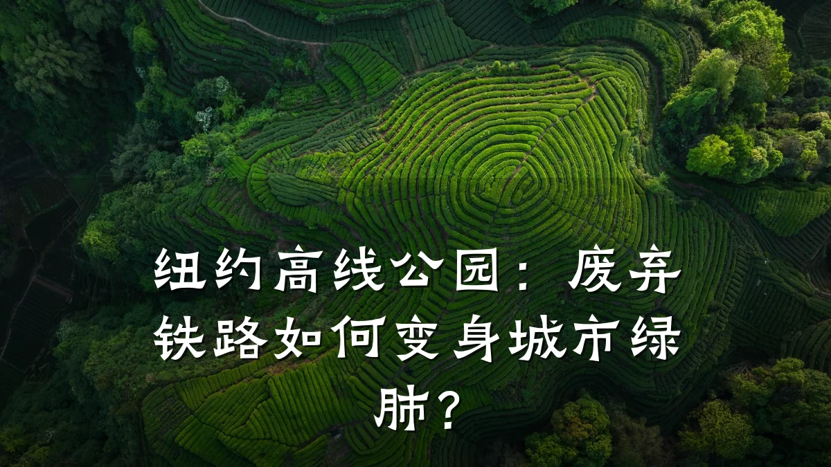 纽约高线公园:废弃铁路如何变身城市绿肺?
