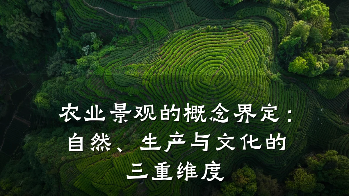 农业景观的概念界定:自然、生产与文化的三重维度
