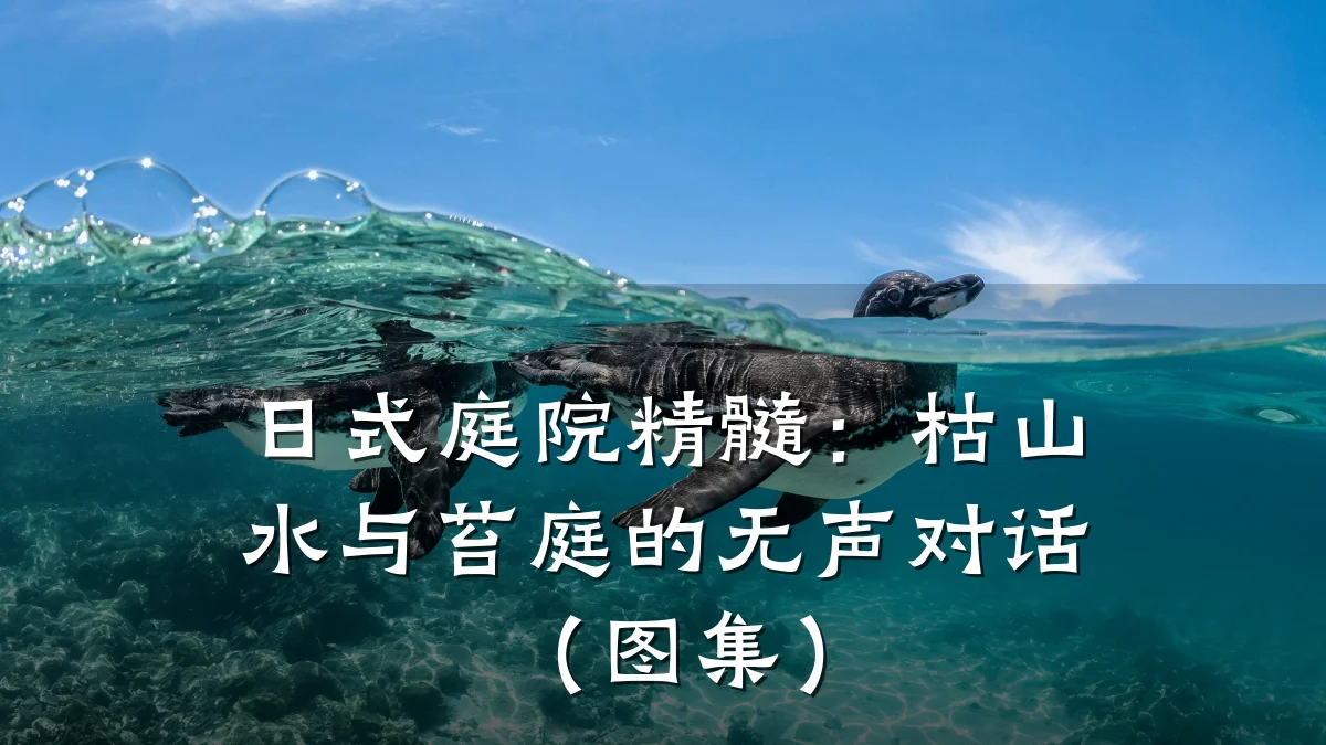 日式庭院精髓:枯山水与苔庭的无声对话(图集)