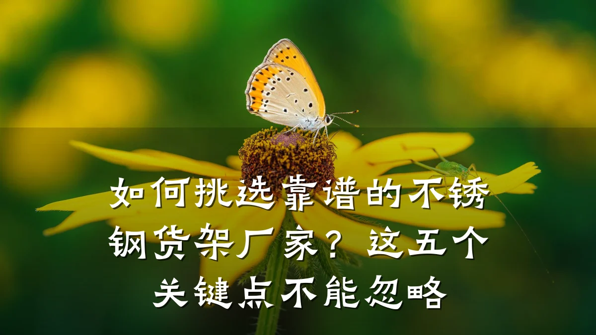 如何挑选靠谱的不锈钢货架厂家？这五个关键点不能忽略