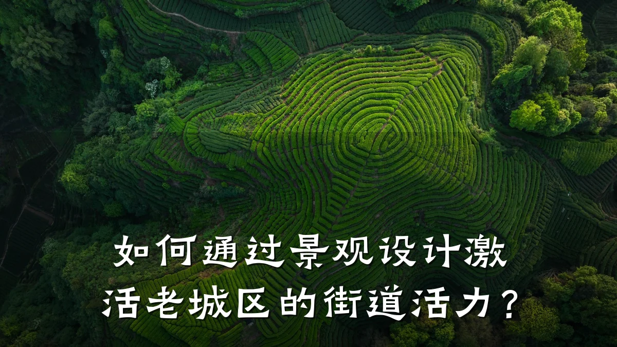 如何通过景观设计激活老城区的街道活力?