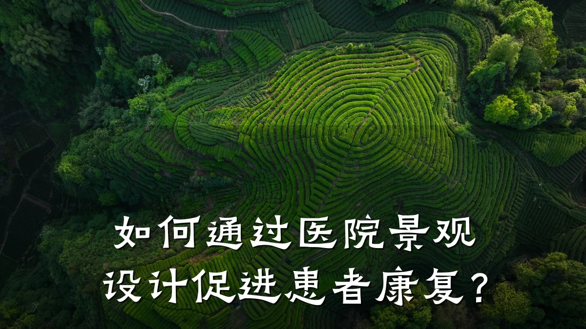 如何通过医院景观设计促进患者康复?