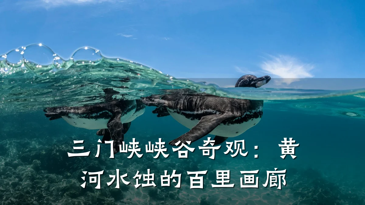 三门峡峡谷奇观:黄河水蚀的百里画廊