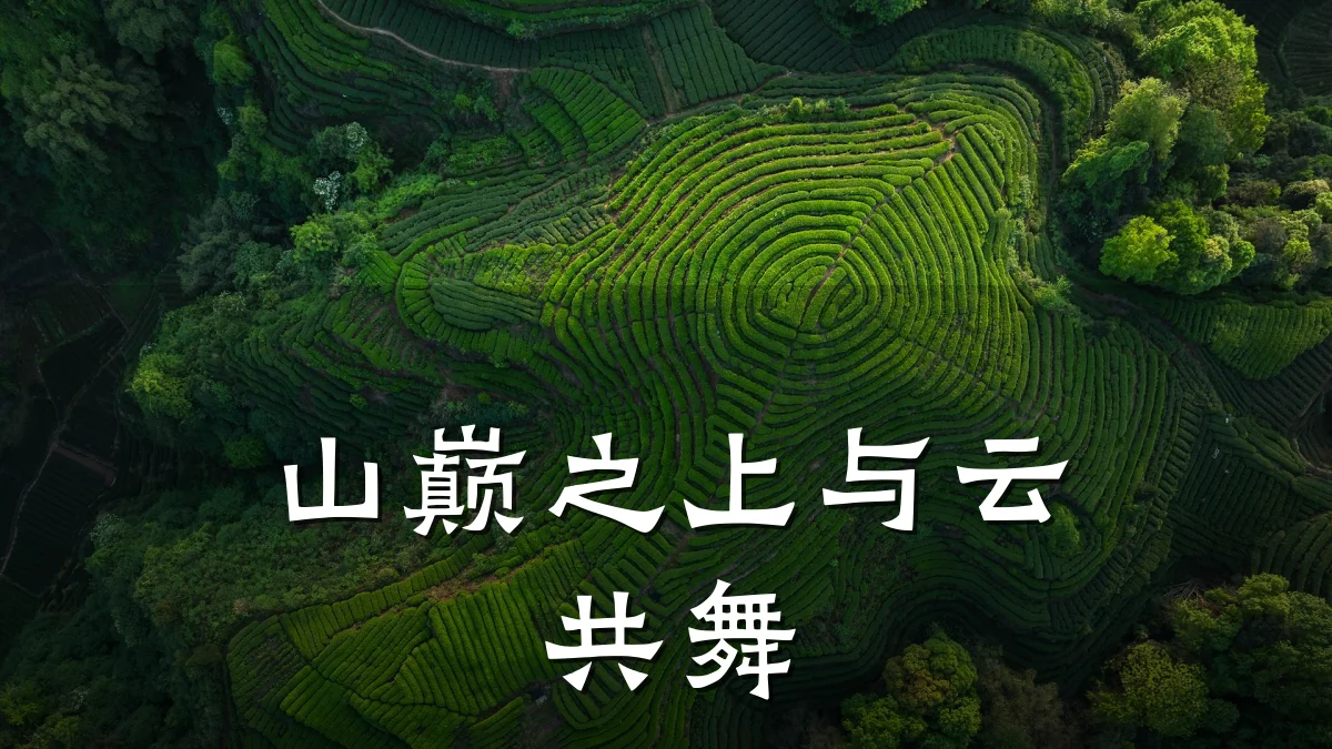 山巅之上与云共舞