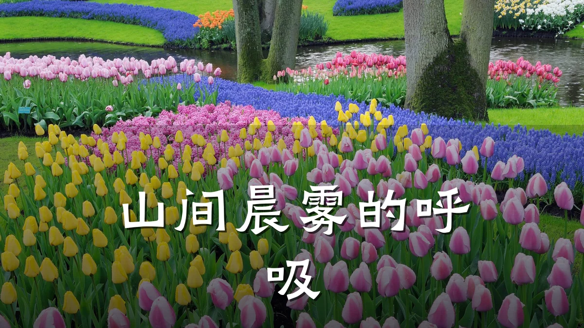 山间晨雾的呼吸