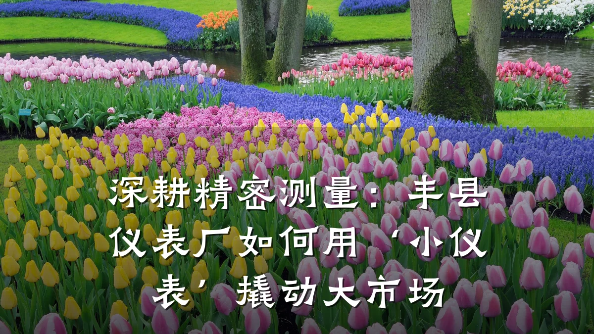 深耕精密测量:丰县仪表厂如何用‘小仪表’撬动大市场