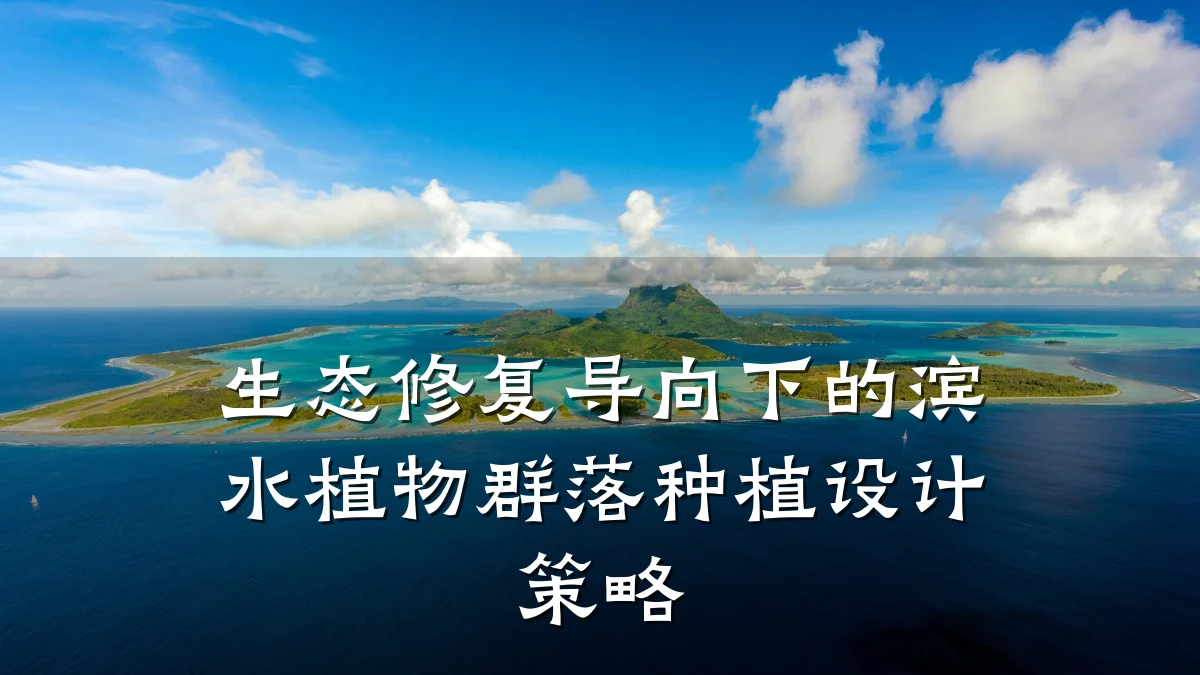 生态修复导向下的滨水植物群落种植设计策略