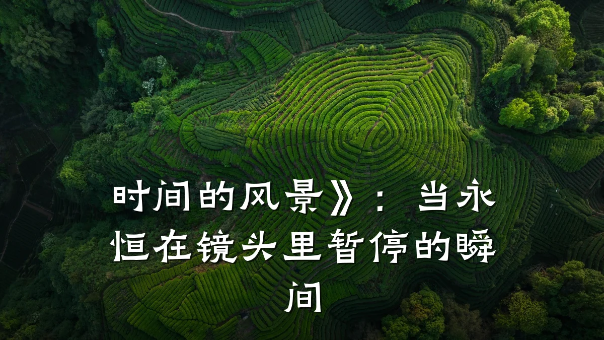时间的风景》:当永恒在镜头里暂停的瞬间