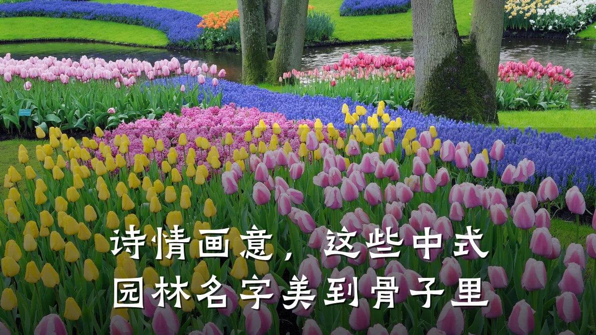 诗情画意,这些中式园林名字美到骨子里