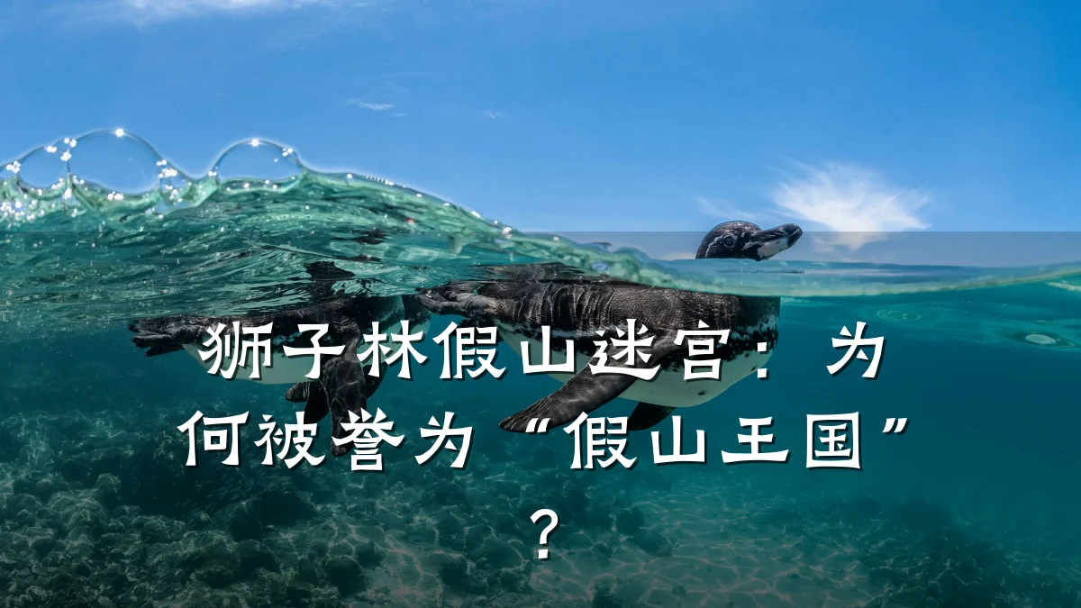 狮子林假山迷宫:为何被誉为“假山王国”?
