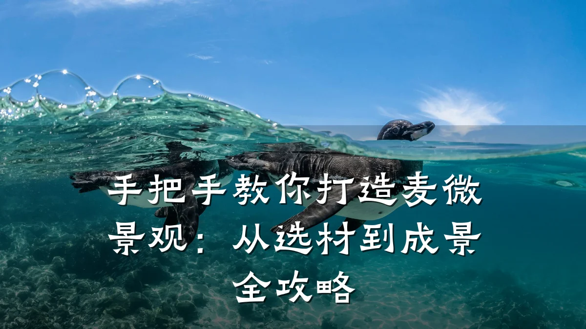 手把手教你打造麦微景观:从选材到成景全攻略