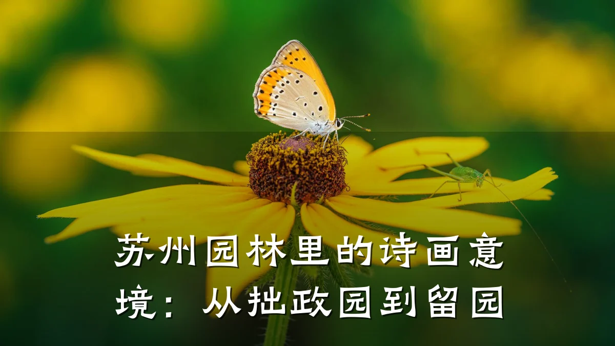 苏州园林里的诗画意境：从拙政园到留园