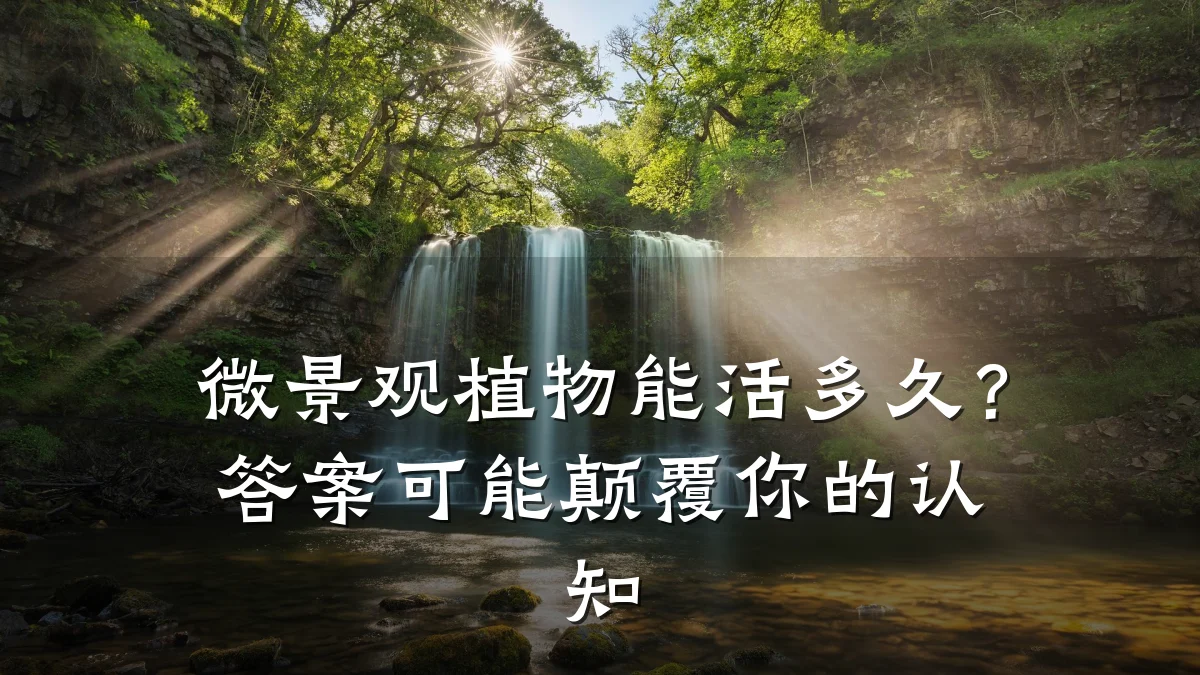 微景观植物能活多久？答案可能颠覆你的认知