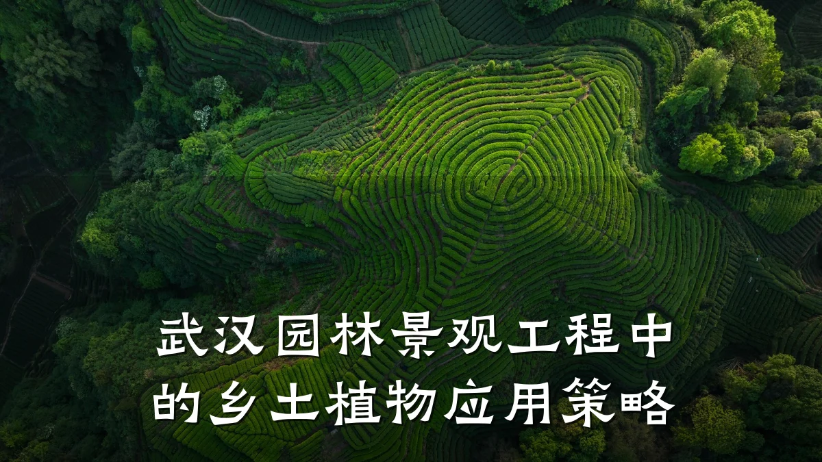 武汉园林景观工程中的乡土植物应用策略
