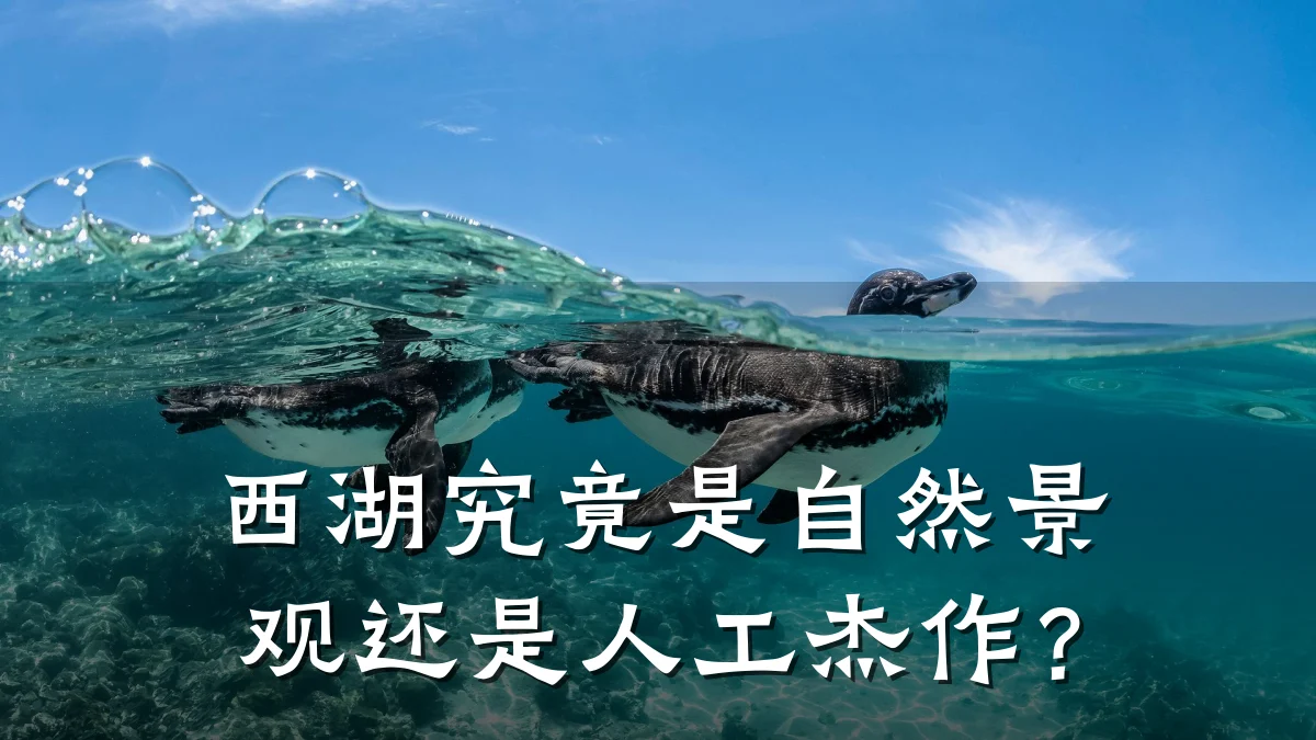 西湖究竟是自然景观还是人工杰作?