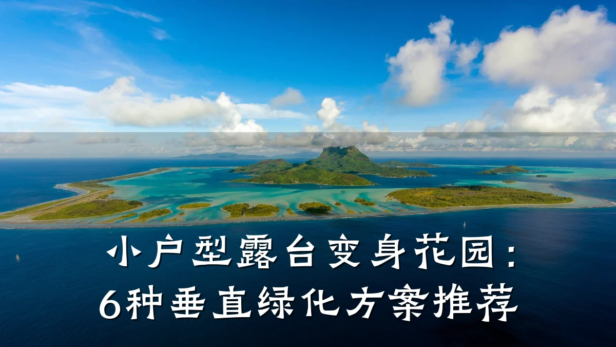 小户型露台变身花园:6种垂直绿化方案推荐