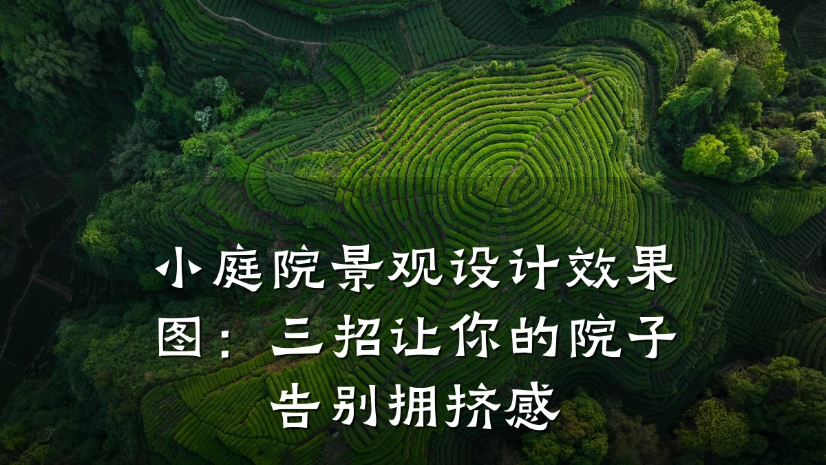 小庭院景观设计效果图:三招让你的院子告别拥挤感