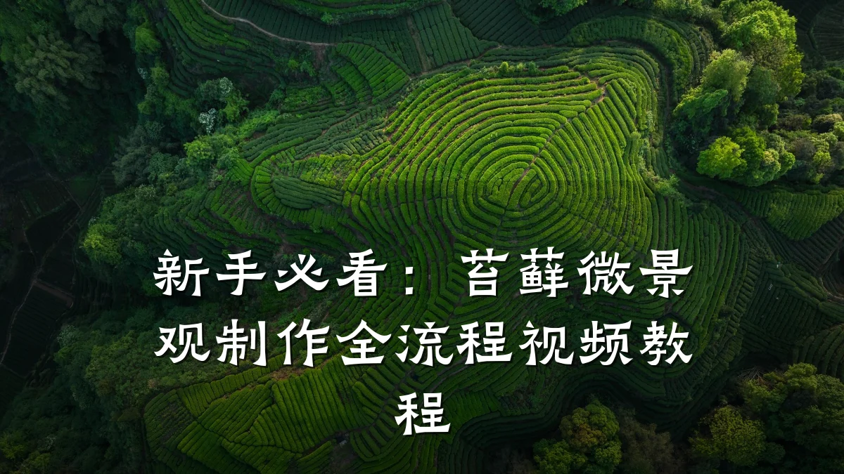 新手必看:苔藓微景观制作全流程视频教程