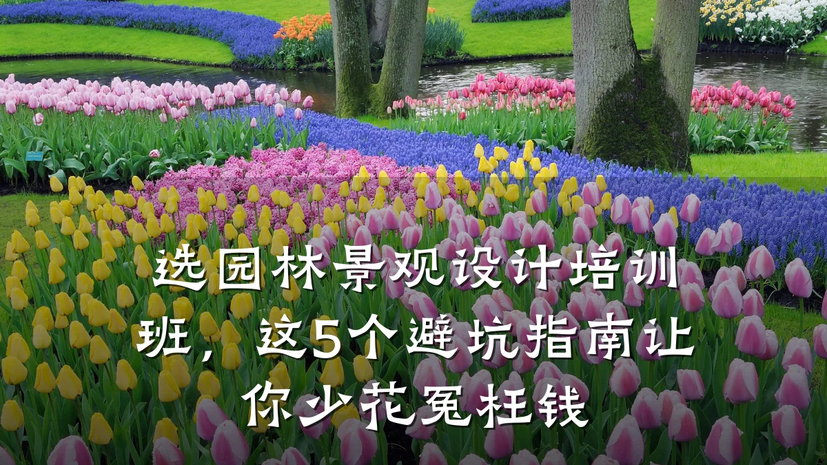 选园林景观设计培训班,这5个避坑指南让你少花冤枉钱