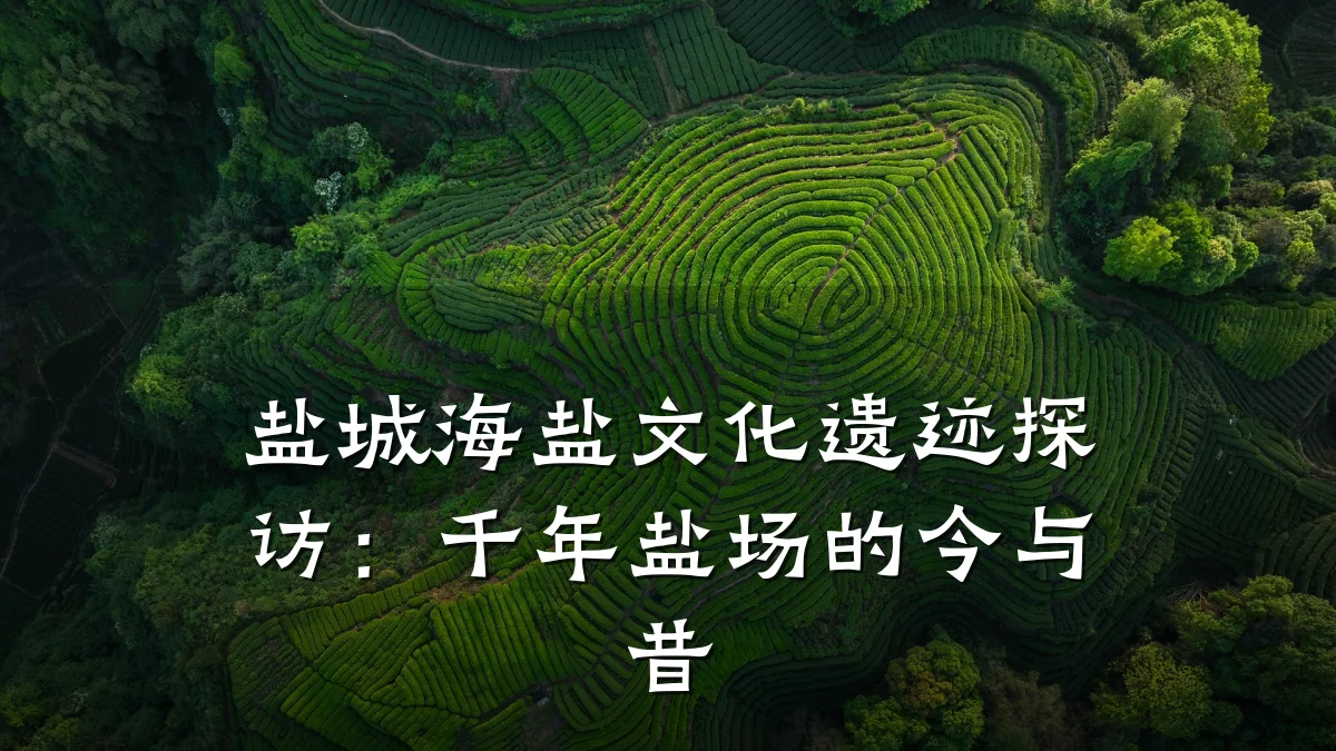 盐城海盐文化遗迹探访:千年盐场的今与昔