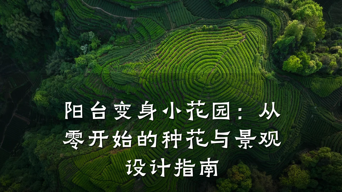 阳台变身小花园：从零开始的种花与景观设计指南