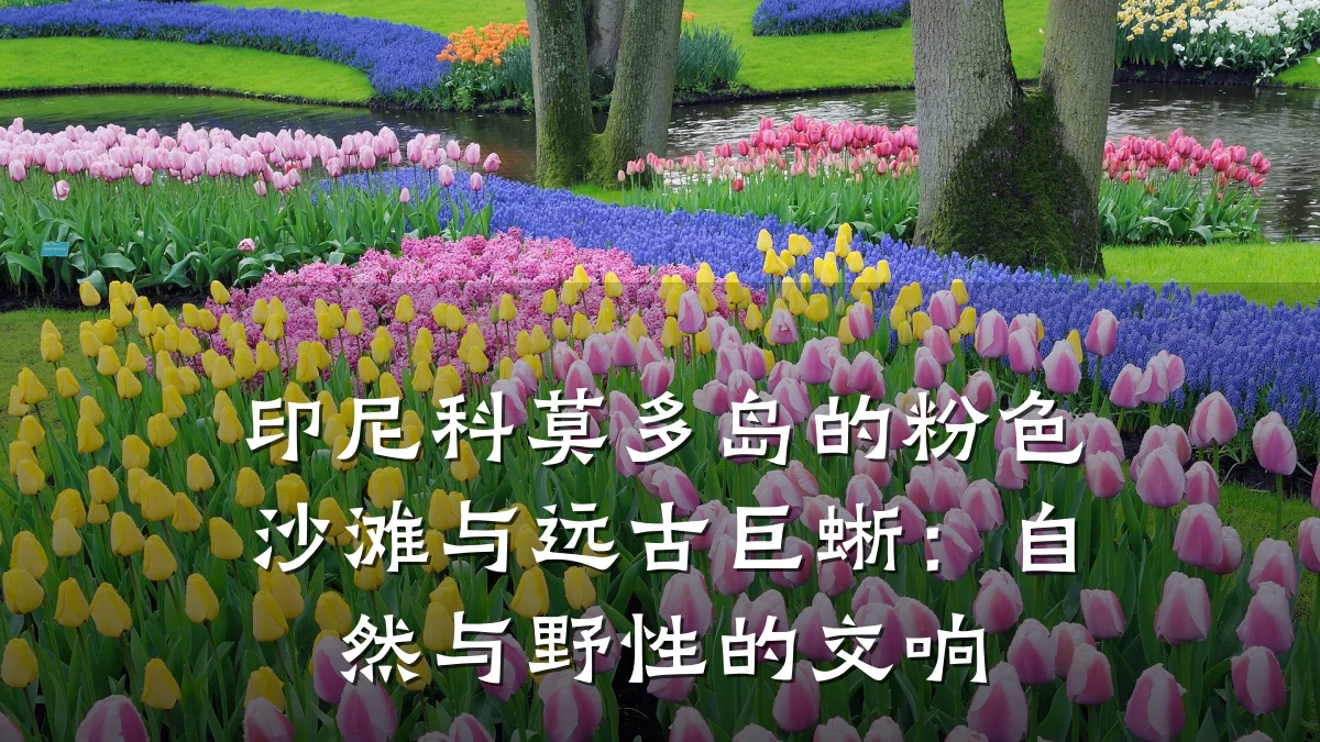 印尼科莫多岛的粉色沙滩与远古巨蜥：自然与野性的交响