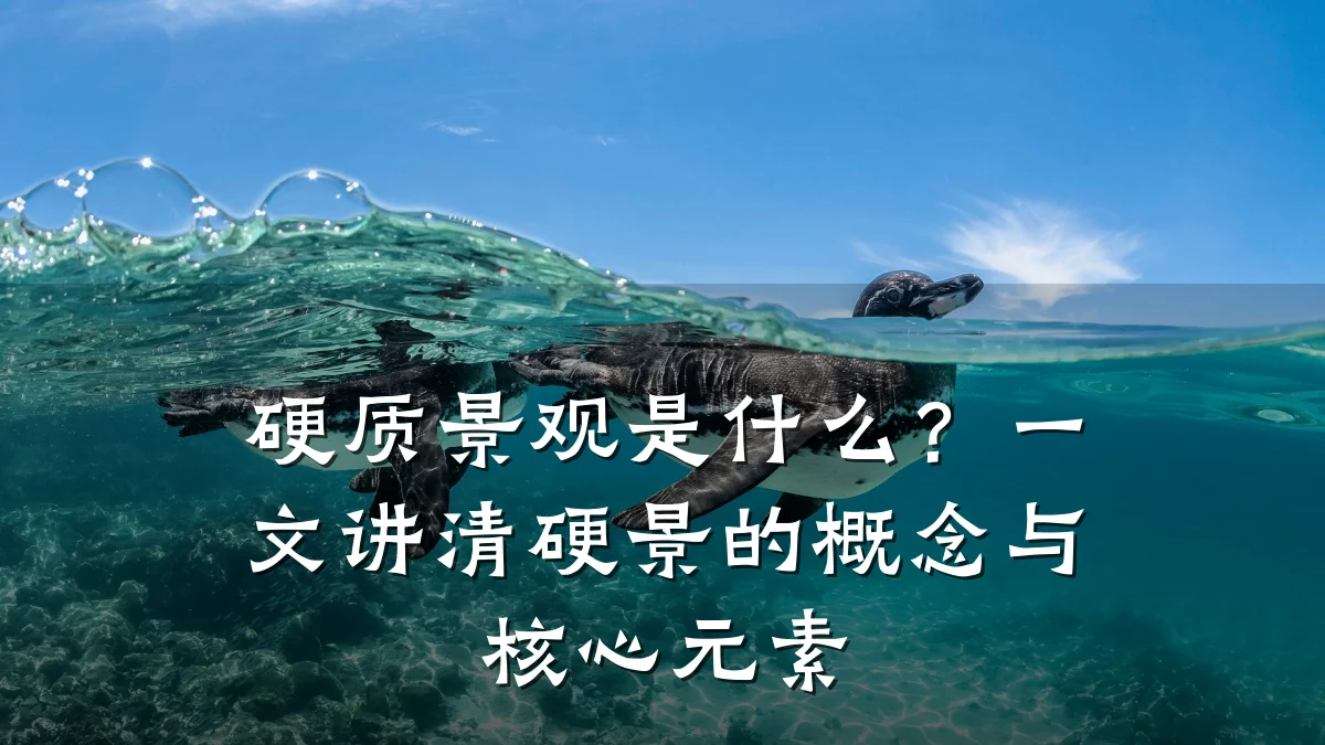 硬质景观是什么?一文讲清硬景的概念与核心元素