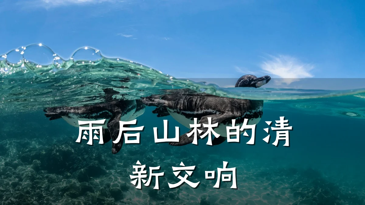 雨后山林的清新交响