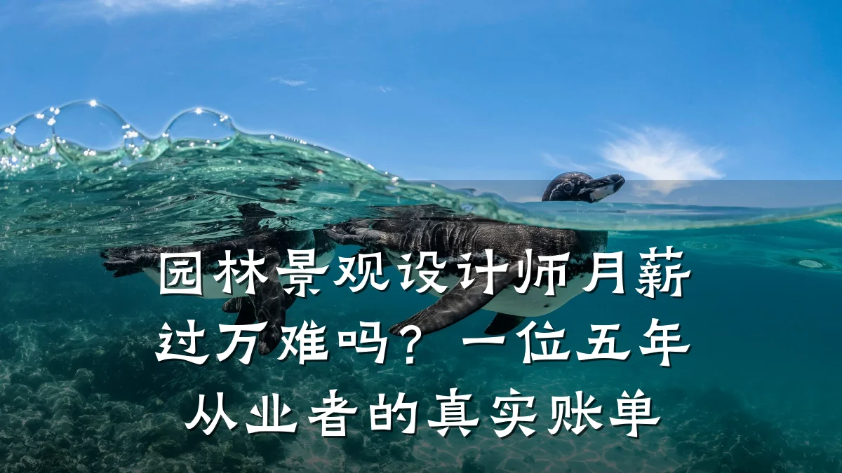 园林景观设计师月薪过万难吗？一位五年从业者的真实账单
