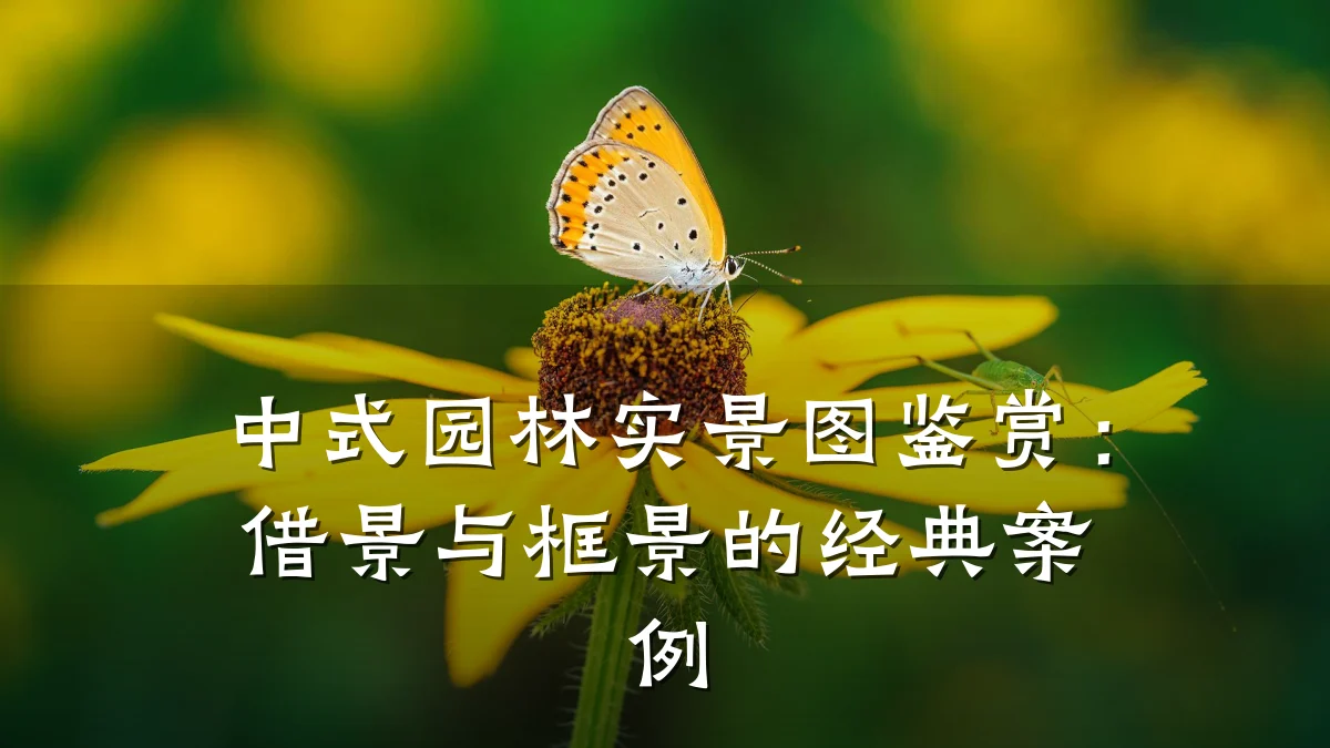 中式园林实景图鉴赏:借景与框景的经典案例