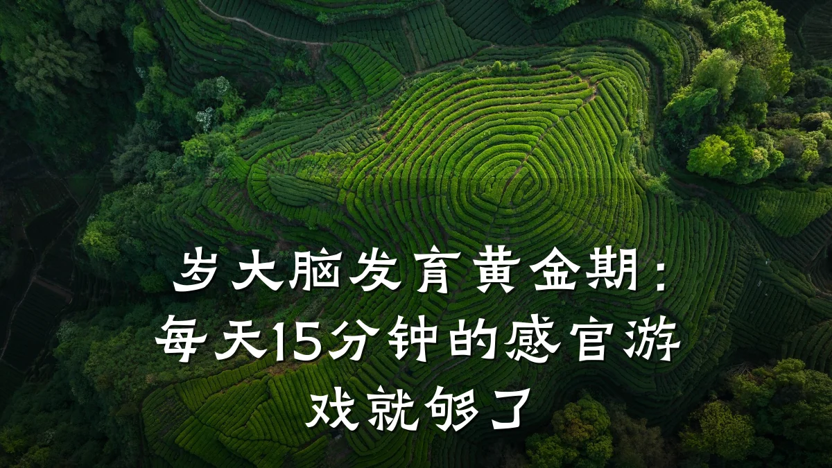 岁大脑发育黄金期:每天15分钟的感官游戏就够了