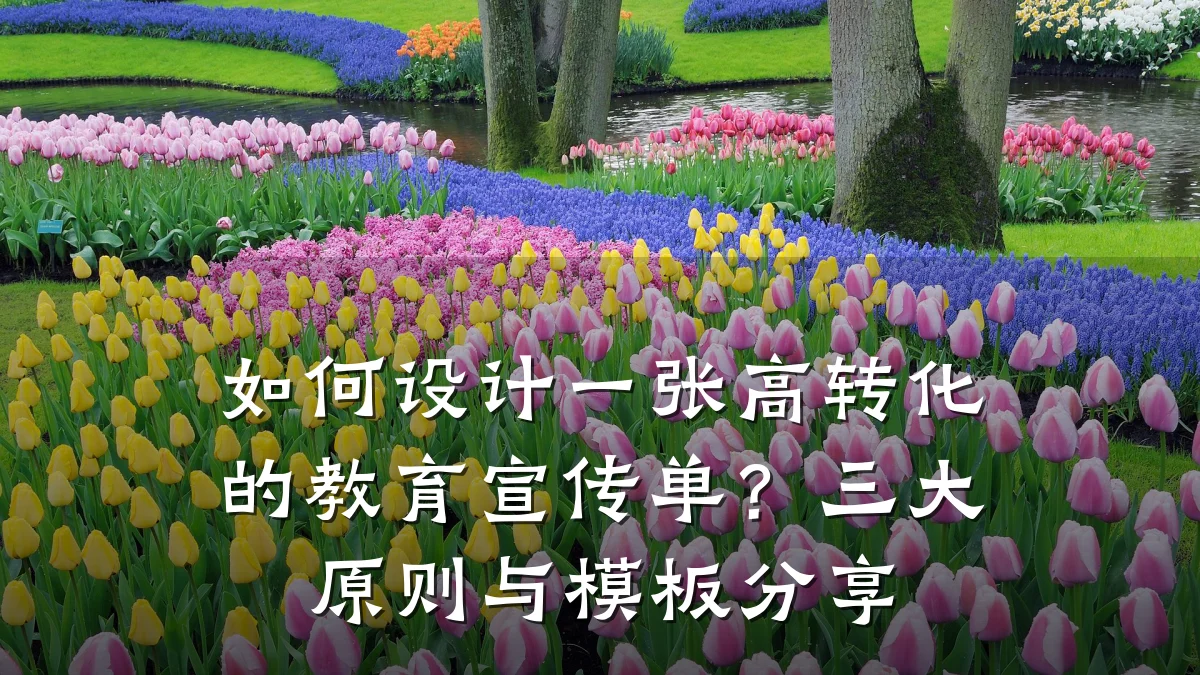 如何设计一张高转化的教育宣传单？三大原则与模板分享
