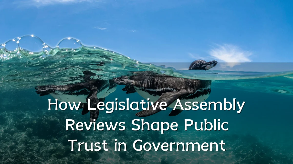 How Legislative Assembly Reviews Shape Public Trust in Government