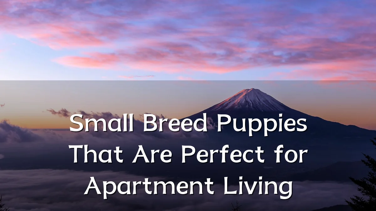 Small Breed Puppies That Are Perfect for Apartment Living